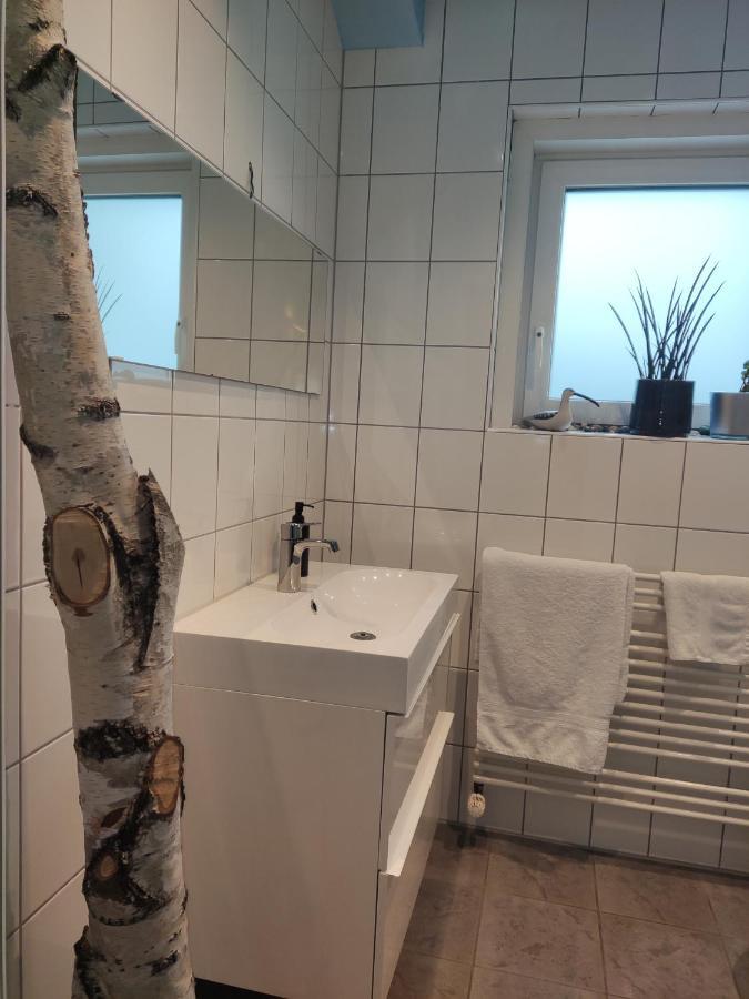 Zen Apartment - Spacious - Garden - Kitchen Karlsruhe Extérieur photo