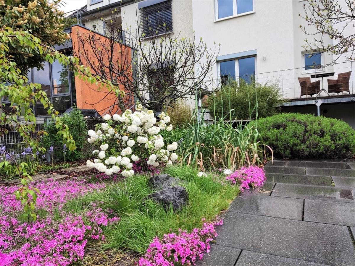 Zen Apartment - Spacious - Garden - Kitchen Karlsruhe Extérieur photo